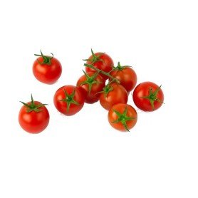 Plantero tomate Cherry Plantero tomate Cherry