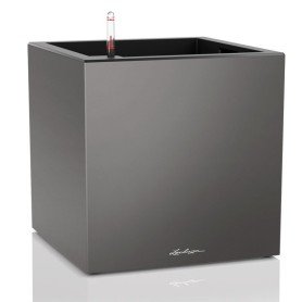 Canto Premium Canto Premium