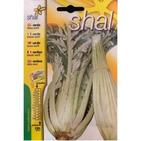 Cardo blanco marfil  5 g Cardo blanco marfil  5 g