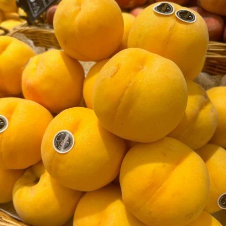 Pavia amarilla Pbg La Almunia