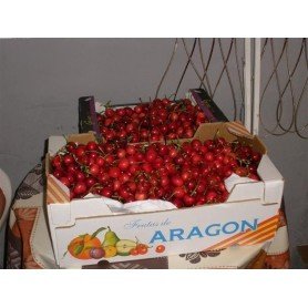 Cerezo Canada Giant rd Cerezo Canada Giant rd