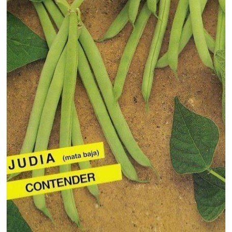 Judia Contender 250 g