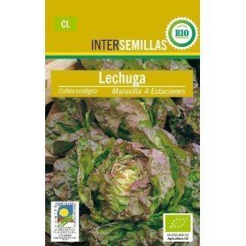 Semillas ecologicas lechuga maravilla 4 estaciones Semillas ecologicas lechuga maravilla 4 estaciones
