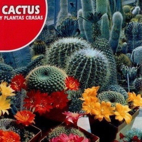 Cactus y plantas crasas 0.5 gr