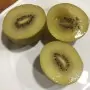 Actinidia deliciosa Golden Kiwi