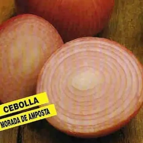 Cebolla morada de Amposta 20 g