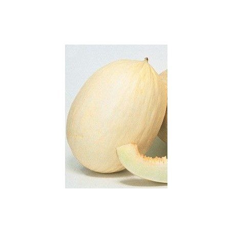 Melon Branco de Ribatejo 10 g
