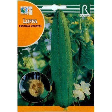 Luffa esponja vegetal 3 g